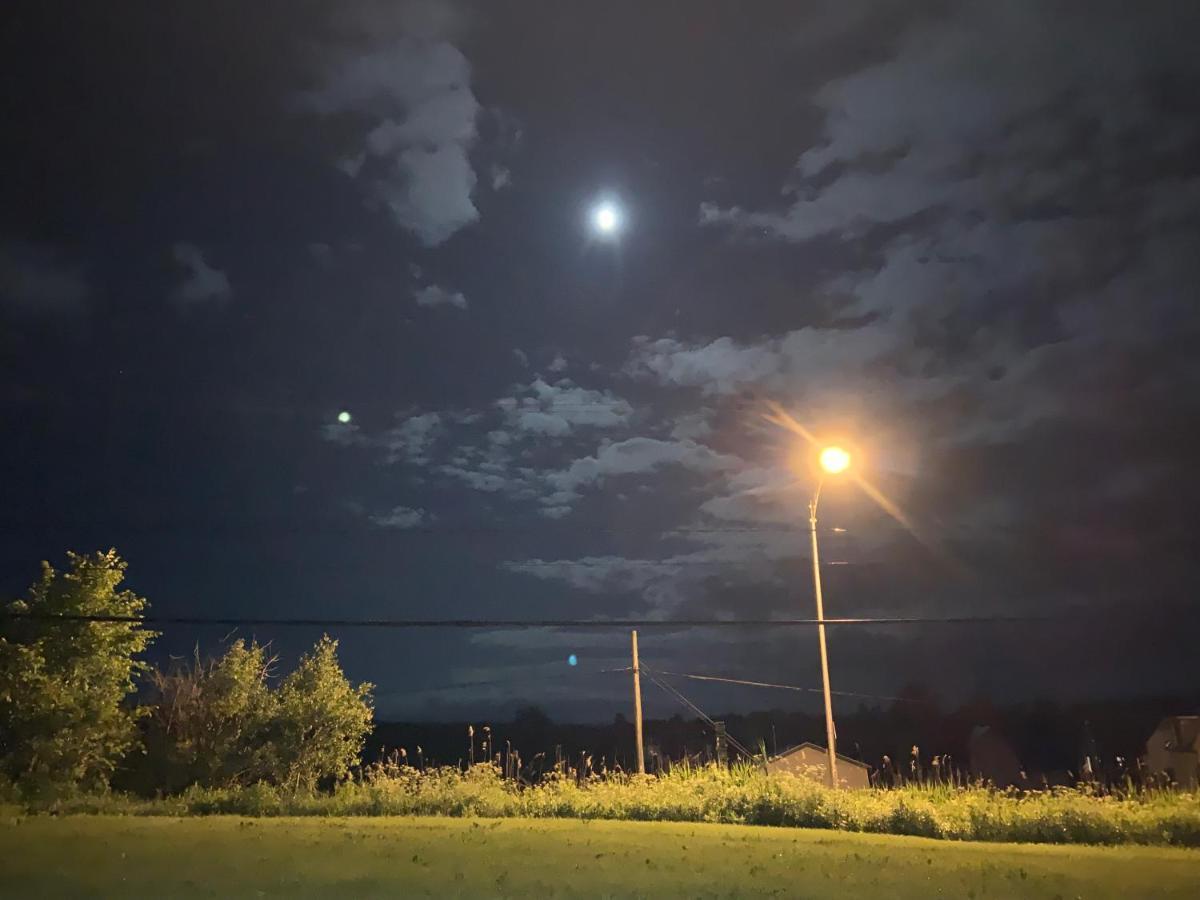 Motel & Chalets --Shefford-Waterloo- Habitation Forest מראה חיצוני תמונה